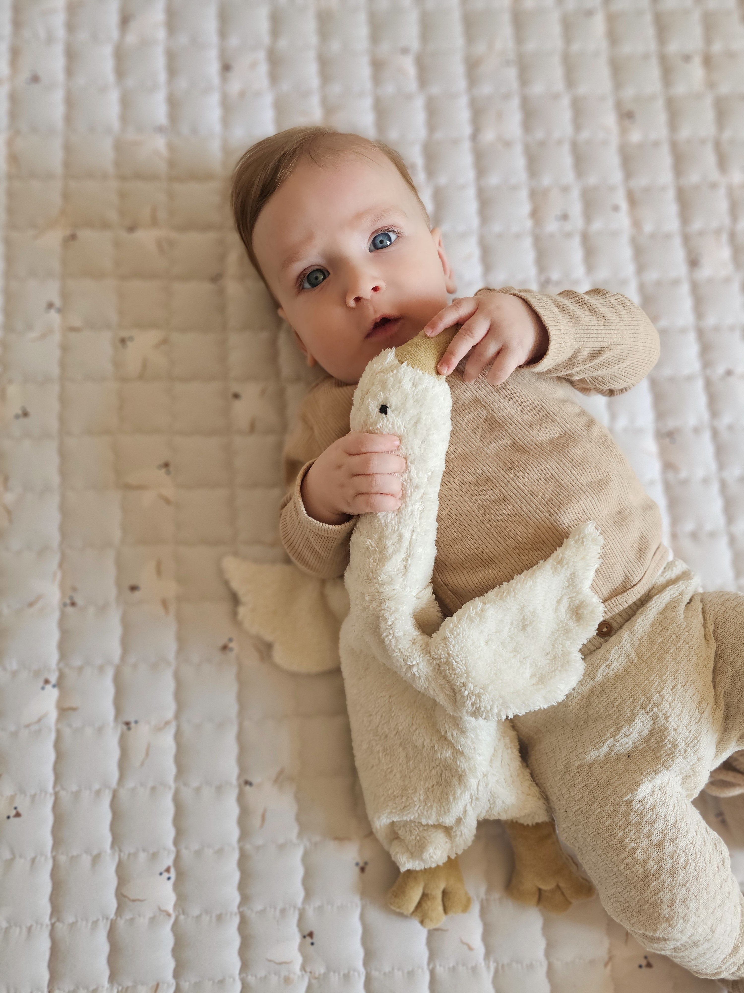 Neutraal beige speelkleed Birds – CE en REACH gecertificeerd