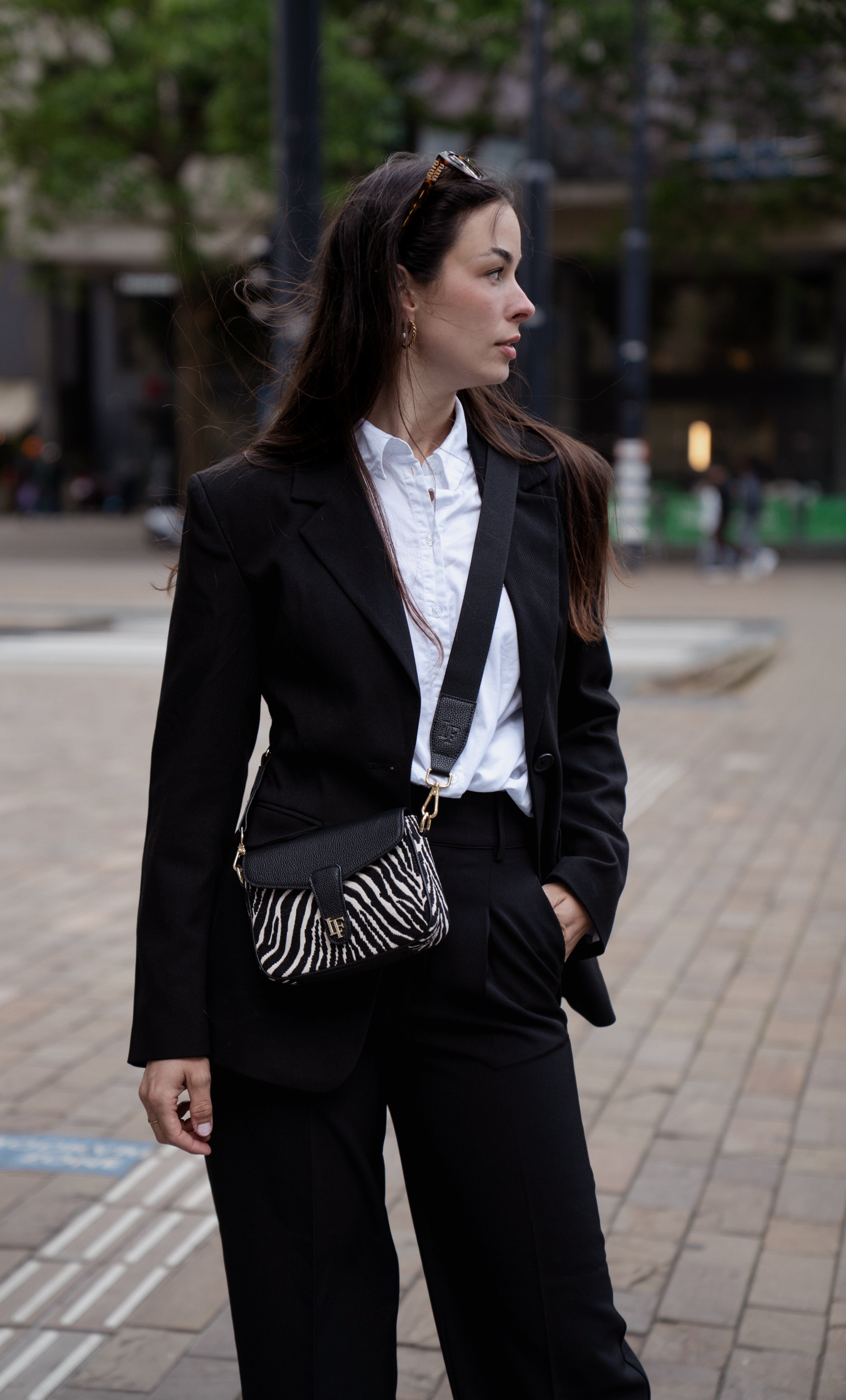 The Mini – Zebra