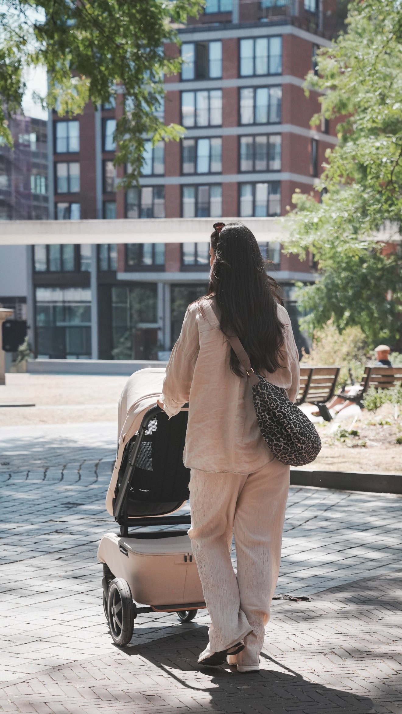 The Pack – Brown Leopard