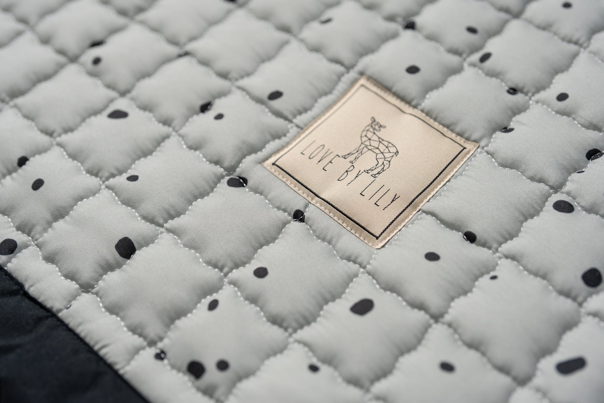 Een zacht veld van groen en zwart waar verbeelding en spel samenkomen.