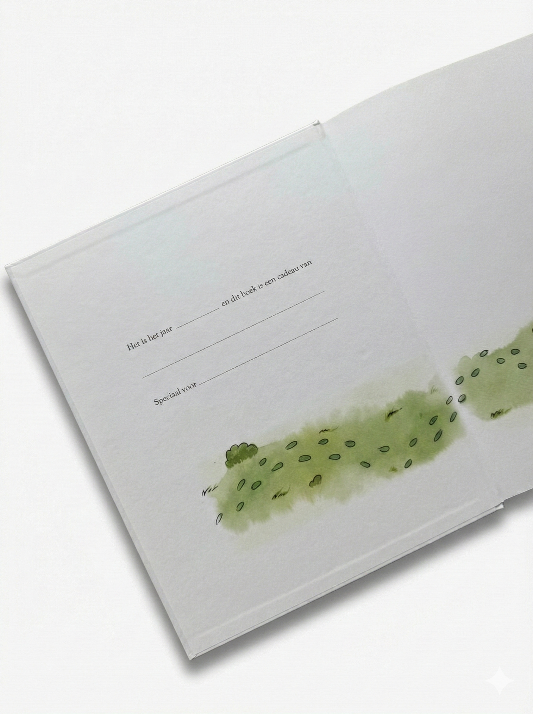 Lily's Animal Friends book - Dutch