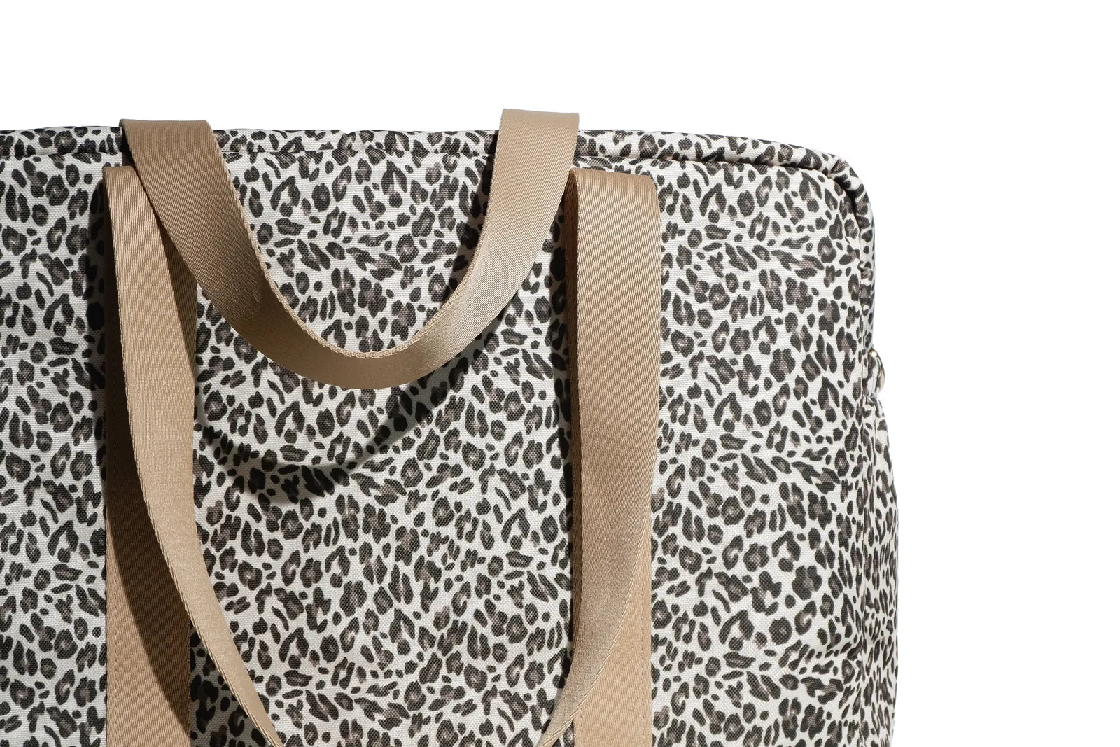 The Lily Daily – Snow Leopard