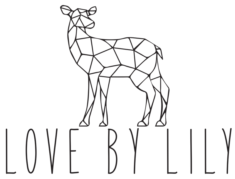 Love by Lily