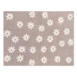 Daisy Night Daisy Night